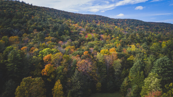 Retreat 2.0 | Lundy Farm - Image 11