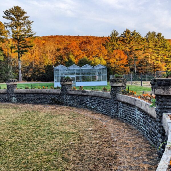 Retreat 2.0 | Lundy Farm - Image 9