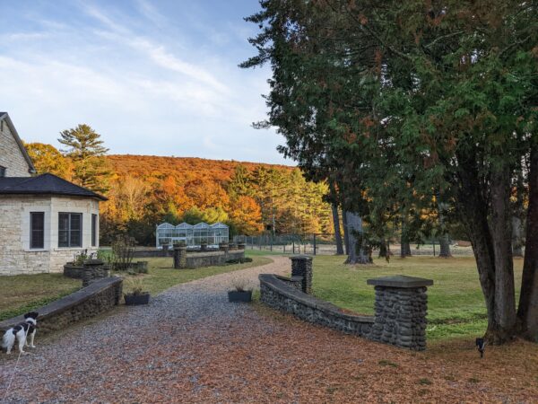 Retreat 2.0 | Lundy Farm - Image 8